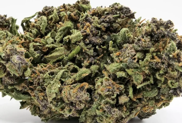 Blueberry cbd