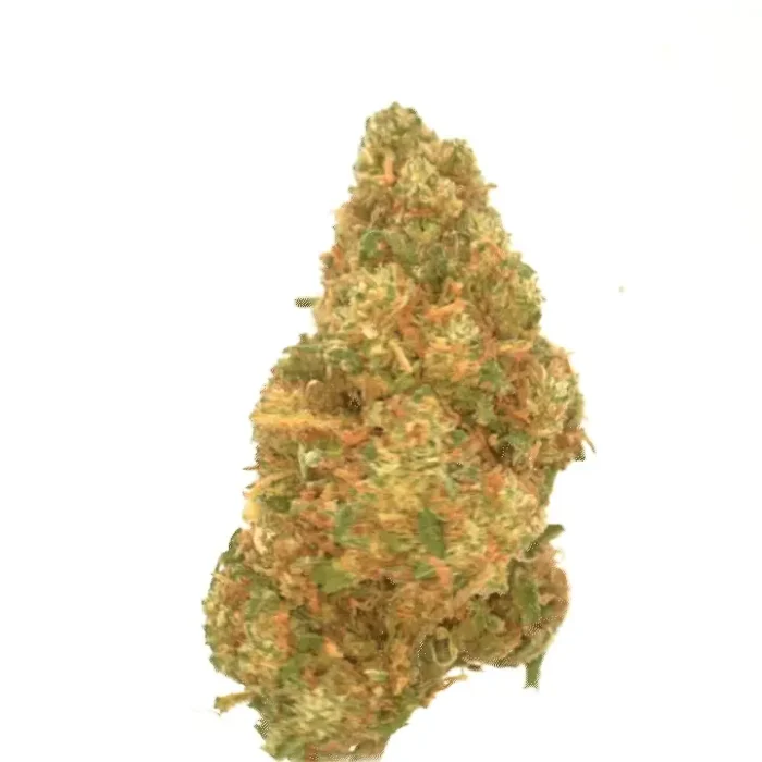 orangebud